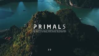 Primal5: Radio 022 (Black Coffee , AfroHouse , DeepHouse , Blanc. , Selected.  \u0026  House)