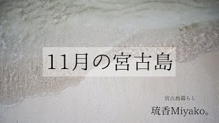 【宮古島暮らし】11月の宮古島/大荒れ時々晴れ 国仲商店さんでCoffeeTime /Vlog