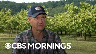 Supply chain issues impact apple farmers