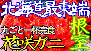 北海道ゆる旅２日目（後編）根室半島を満喫