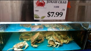 Tasting Jonah Crab For The First Time!