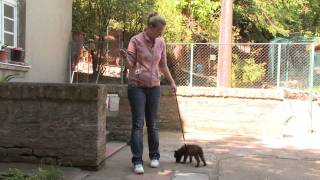 Belgrade Zoo 2011 Episode 13 Part 2