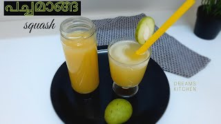 Pacha Manga squash/Raw mango Squash/പച്ചമാങ്ങ കൊണ്ട് അടിപൊളി സ്ക്വാഷ്/Iftar drink/Dreams Kitchen