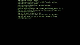 The 'echo' Command In Linux