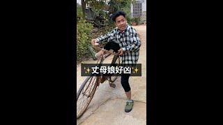 这丈母娘有点凶😂