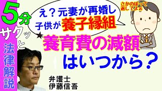 養育費の減額の始期について／相模原の弁護士相談