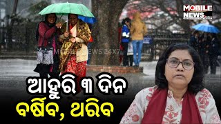 ଉପକୂଳକୁ ବର୍ଷା ଆଲର୍ଟ: IMD Bhubaneswar Director Manorama Mohanty, Odisha Weather Update Odisha Weather