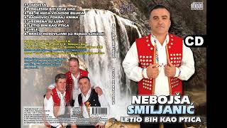 Nebojsa Smiljanic - Dje je kuca vojvode Djujica (Audio 2017)