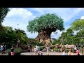 Disney's Animal Kingdom 2023 Afternoon Walkthrough in 4K | Walt Disney World Florida September 2023