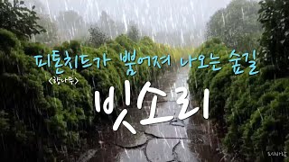 [빗소리ASMR]잠이 솔솔 피톤치드가 뿜어져 나오던 향나무 숲길의 빗소리 3시간 /10분 후에 어두워집니다.