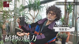 滝藤賢一が誘う植物の世界！【バカリズムの大人のたしなみズム】　9月9日（木）夜9時放送「ボタニカルライフ」アンコール放送