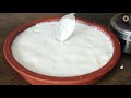 हलवाई वाले ऐसे जमाते है गाढ़ा मलाईदार दही सीक्रेट तरीके से dahi jamane ka tarika yogurt recipe