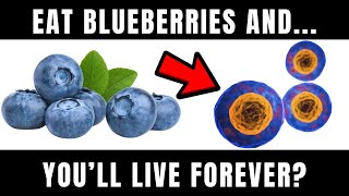 Could blueberries be the secret to eternal life? Scientists are amazed