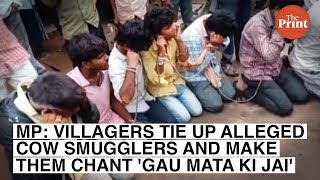 MP: Villagers tie up alleged cow smugglers and make them chant 'Gau Mata ki Jai'