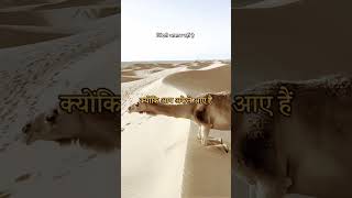 #जिंदगी आसान नहीं है#viralvideo