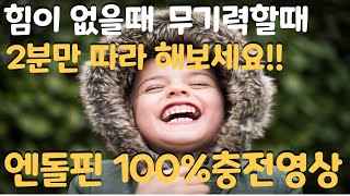 아침엔 엔돌핀 상승 UP! 활력을 주고 무기력한 마음을 활기차게! 힘낼때 보세요!