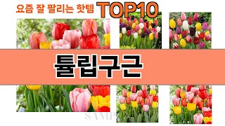 가장 많이 팔린 튤립구근 추천 Top10!