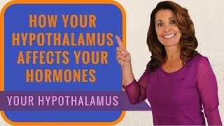 What Does Your Hypothalamus Do? | 3 Tips for Natural Hypothalamus Support