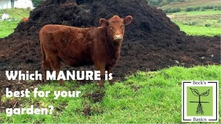 Garden manure review. Not all manures are the same.