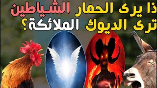 لماذا يرى الحمار الشياطين ويرى الديك الملائكة⁉️