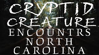 BIGFOOT AND CRYPTID ENCOUNTERS FROM NORTH CAROLINA | A BLESSING OR A CURSE!