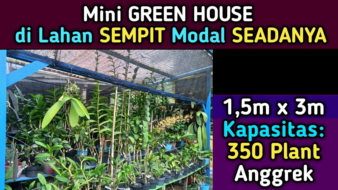 Cara Membuat MINI GREEN HOUSE Di LAHAN SEMPIT - YouTube