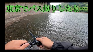 奥多摩湖でバス釣りしたらデカいの釣れた