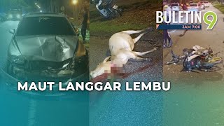 Kemalangan Langgar 2 Lembu, Pekerja Kilang Maut