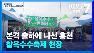 [포착! 현장7] 본격 출하에 나선 홍천 찰옥수수축제 현장 / KBS  2024.07.23.