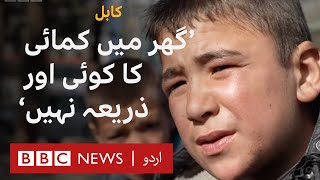 Kabul: Poverty forces parents to send their children to work on streets- BBC URDU