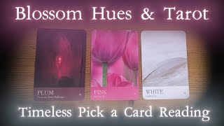 Timeless Pick a Card Blossom Hues and Tarot Reading