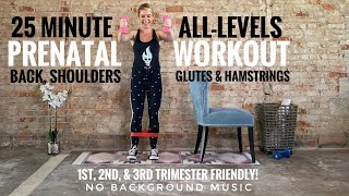 25 Minute All-Levels Prenatal Workout: Back, Shoulders, Glutes & Hamstrings - All Trimesters!