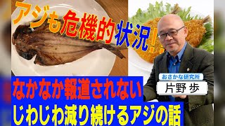 【なかなか報道されない事実】アジが世界の魚の価格を左右してる？！