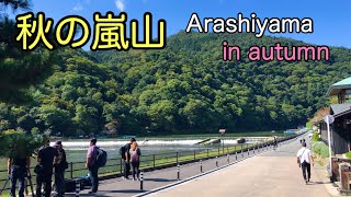 2020年10月1日(木)秋の嵐山 Arashiyama in autumn 秋天的岚山【4K】