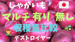 じゃがいも　収穫量比較　マルチ　有り　無し　デストロイヤー 　 グランドペチカ   結果は別の動画で紹介していますので　ご覧下さい