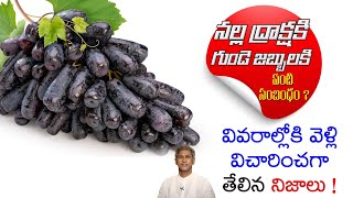 4 Uses of Black Grape Juice | Heart Attack | Diabetes | Skin Glow | Cholesterol | Manthena Official