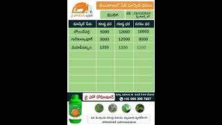 jhk market rate updates |Today Market Prices of Cucumber \u0026 Drumstick in Telangana | @jaihokisan