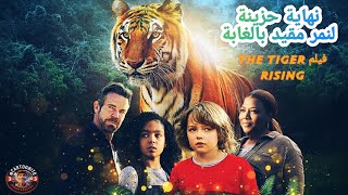 نهاية حزينة لنمر محبوس في قفص بالغابة | ملخص فيلم The Tiger Rising #movie