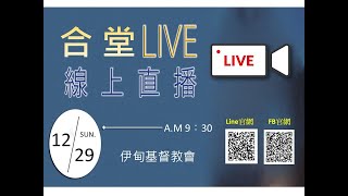 2024.12.29合堂主日—重生後的成長之路