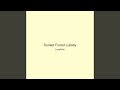 Sunset Forest Lullaby