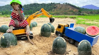 Bim Bim uses an excavator to harvest watermelon