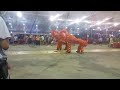 lion dance at 寶興壇