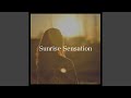 Vibrated Reasons