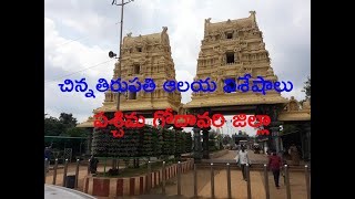 Dwaraka Tirumala(Chinna Tirupati)Temple Full Details.Temple history,Darshan timings,Stay,Facilities