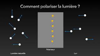 Introduction à la polarisation