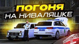 😱 НОВАЯ ИМБА - НИВАЛЯШКА В ПОГОНЯХ НА МТА ПРОВИНЦИИ