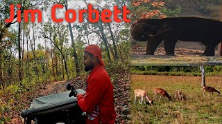 Bijrani Zone | Jim Corbett | Exploring the Thrilling Wildlife of Jungle Safari