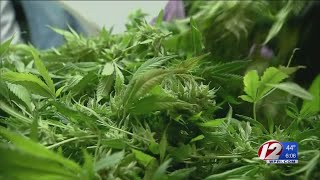 RI seeks advice on legalization of marijuana from Colorado man