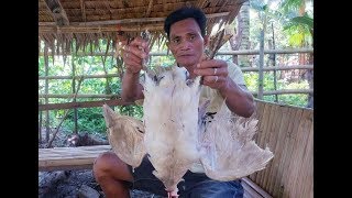 ADOBONG PATO (DUCK ADOBO)