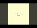 Velvet Silver Fragile